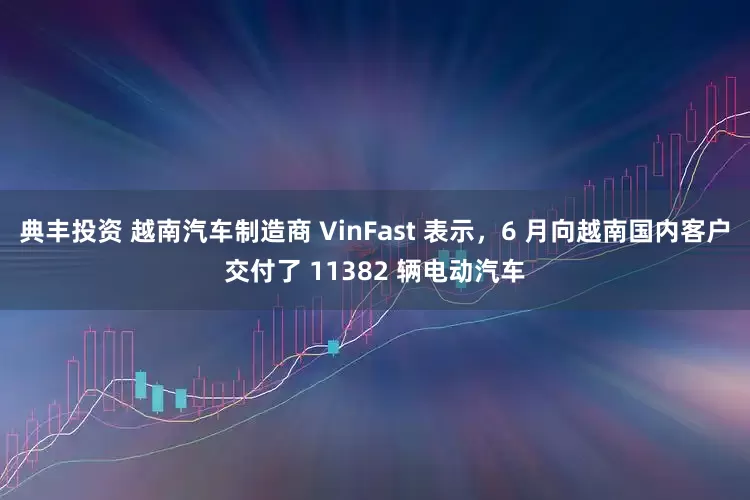 典丰投资 越南汽车制造商 VinFast 表示，6 月向越南国内客户交付了 11382 辆电动汽车