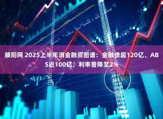 顺阳网 2025上半年消金融资图谱：金融债超120亿、ABS近100亿，利率普降至2%