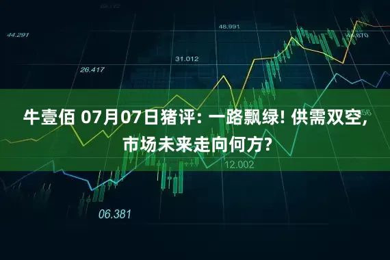 牛壹佰 07月07日猪评: 一路飘绿! 供需双空, 市场未来走向何方?