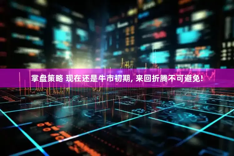掌盘策略 现在还是牛市初期, 来回折腾不可避免!