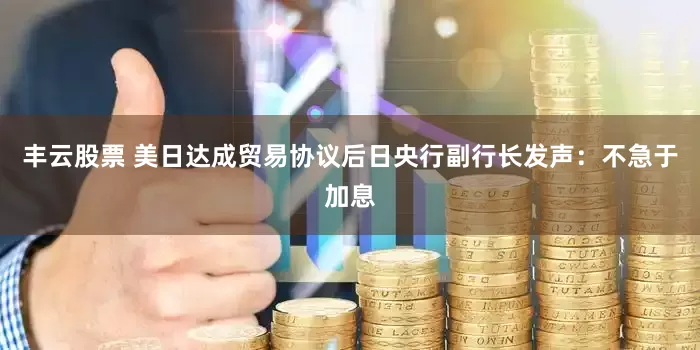 丰云股票 美日达成贸易协议后日央行副行长发声：不急于加息