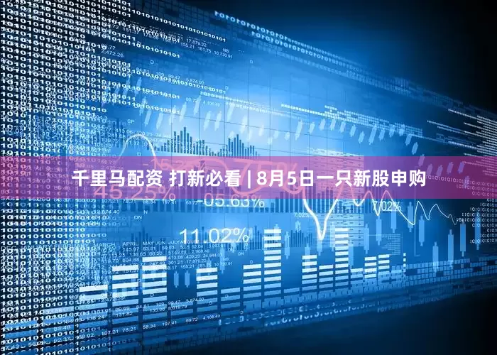 千里马配资 打新必看 | 8月5日一只新股申购