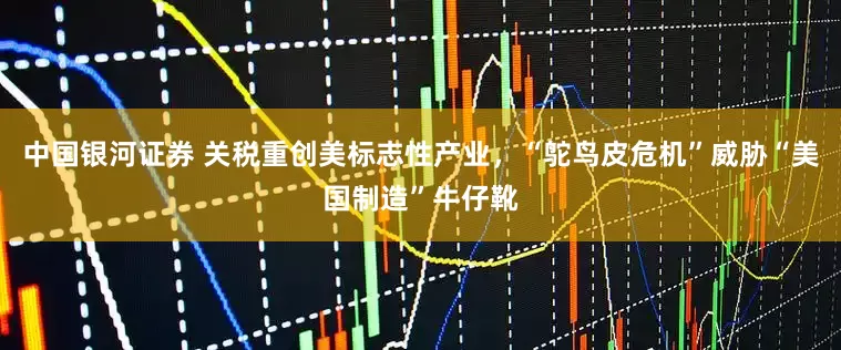 中国银河证券 关税重创美标志性产业，“鸵鸟皮危机”威胁“美国制造”牛仔靴