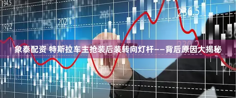 象泰配资 特斯拉车主抢装后装转向灯杆——背后原因大揭秘