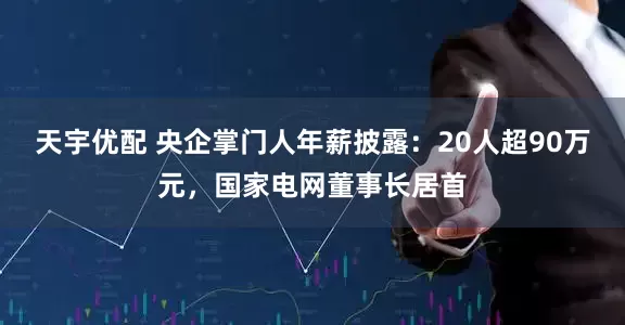 天宇优配 央企掌门人年薪披露：20人超90万元，国家电网董事长居首